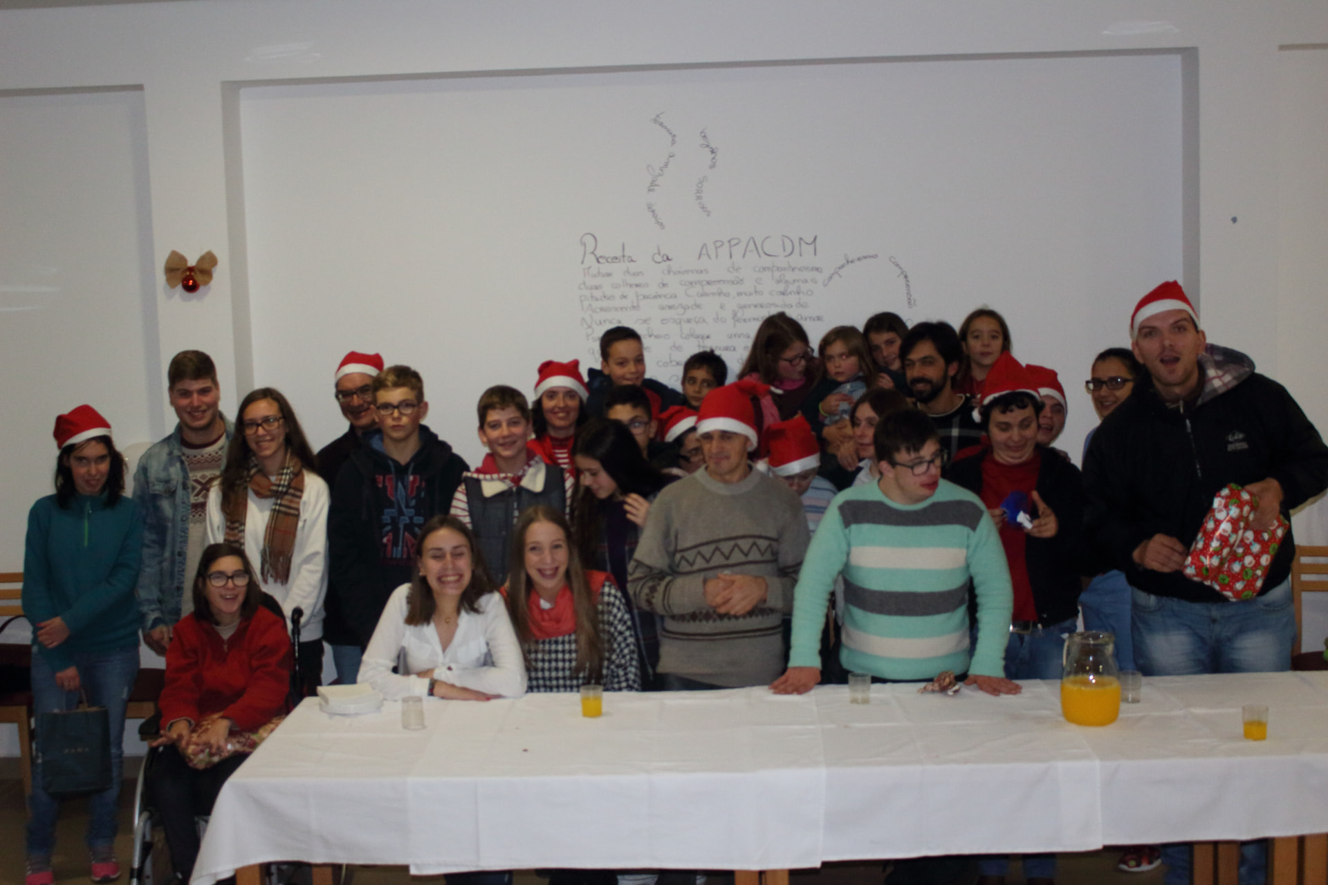 Voluntariado em IPSS